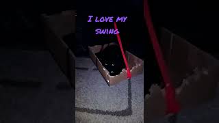 Swinging cat #shorts #blackcat