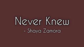 Never Knew - Shaya Zamora (lyrics)