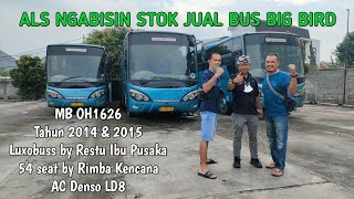 ALS Borong Bus Big Bird Lagi || Pak Indra ALS