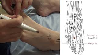 Stomach Meridian ST31 - ST45 - Acupuncture Point Location - Acupoint