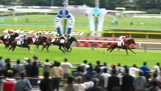 Tokyo Racecourse 2018