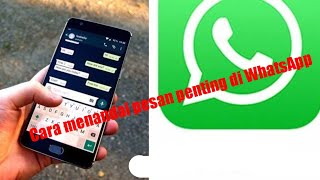 Cara Menandai Pesan Penting Di WhatsApp | pesan berbintang