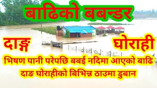 Flood in Babai River Dang Ghorahi Nepal||Flood In Nepal 2080||