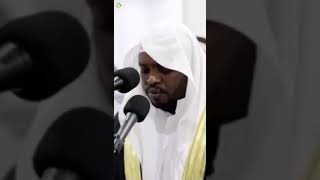 امام الحرم الجديد الشيخ مختار البرناوي