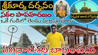 Sri Kurmam |Srikakulam Srikurmam | Famous Srikurmam temple #sandarshini  #srikurmamtemple Turtle_god