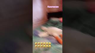 #топ  кампания  #  🤣🤣🤣😂😂😂