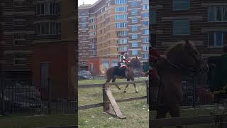 Конный турнир на "Академке"🐎 Петербург