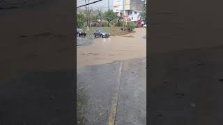 cali hoy 12/08/2024 medio llueve y colapsa #Rockynoticias