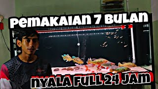 KANDILA PRO RED VIEW PEMAKAIAN 7 BULAN NYALA FULL 24 JAM || Review Lampu Aquarium