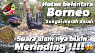 🔴SERU GILA‼️@PANJIPETUALANG_REAL Ditengah hutan Rimba dan mandi air merah bersama Predator‼️⚠️​⁠