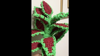 DIY Macrame Coleus Plant Tutorial - Easy Step-by-Step Guide!!