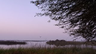 khijadiya bird sanctuary