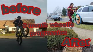 5 Month Wheelie Progression