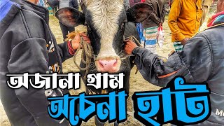 গরুর দাম কেমন গ্রামের গরুর হাট এ || Purbasha Agro