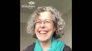 Louisa's journey through meditation and mindfulness at Sharpham