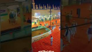 Jama Masjid Amroha || جامع مسجد امروہہ || जामा मस्जिद अमरोहा || Beautiful Mosque || #shorts #short