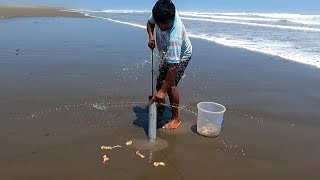 Carnada efectiva para Pescar que usan los Pescadores que nunca pasa de moda