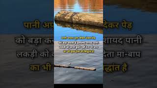 पानी और लकड़ी का रिश्ता #trendingshorts #youtubeshorts #urduquotes #deeplines #goldenwords #shorts