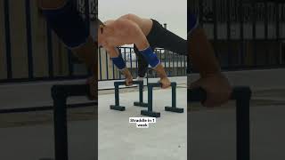 1 Week Planche Comeback Progress