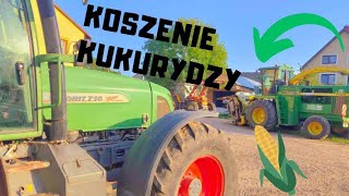 Oporowe koszenie kukurydzy 🌽 2023