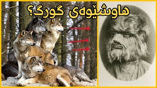 ٧ ڕەسمی ترسناکی مێژوویی (پاشماوەی مرۆڤ!)