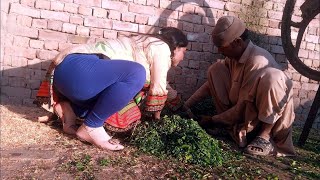 Village husband wife working together Husband & Wife After Fighting .