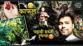 Aaj hum jungle gaye Kafal or Lingude lene   || pahadi lifestyle vlogs || #ankitpanwarvlogs