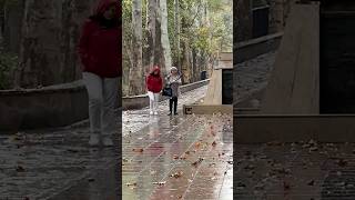 A rainy day in Bagh Fateh Karaj #iran