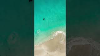 A Manta Ray gliding in the turquoise waters of Ningaloo reef #shorts