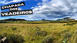 CHAPADA DOS VEADEIROS | MATULA DO WALDOMIRO E JARDIM DE MAYTREA | GOIÁS