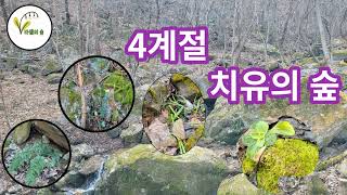 지리산 더드림팜 2월 라엘의 숲 이야기