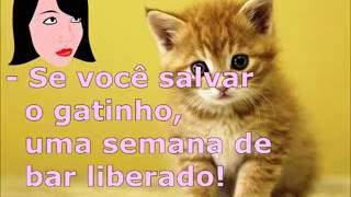 Homem arrisca a vida para salvar um gato