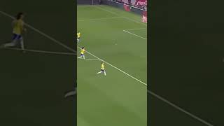 Caño de Di Maria vs Brasil