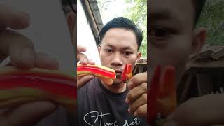 Yupi mirip hot dog pake cabe rawit #shorts #trending #tiktok