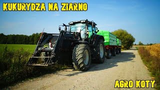 ☆Kukurydza na ziarno 2019☆z Podlasie w Obiektywie☆Super akcja☆