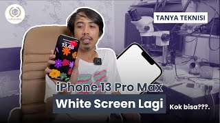 iPhone 13 Pro Max White Screen Lagi