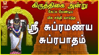 KIRUTHIGAI SPECIAL | SUPRAMANYA SUPRABHATHAM | LORD MURUGAN DEVOTIONAL SONG | MURUGAN BAKTHIPADAL