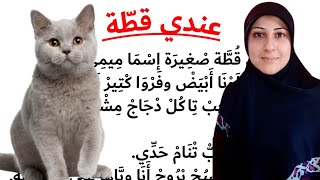 #cats,I have a cat, learn Lebanese Arabic 🇱🇧 through short stories#cats #tigermum