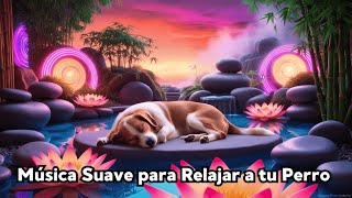 Música para Perros Ansiosos: Alivio Rápido en Minutos 🐶💤