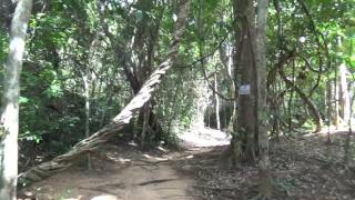 Angkor Wat Temple Phnom Kulen Holy River to Explore Unique