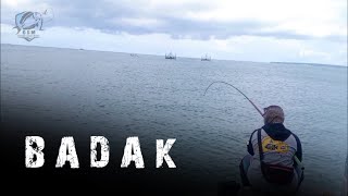 Mancing Baronang Kekuatan BADAK