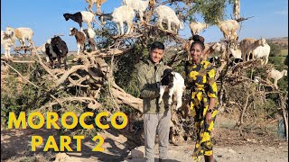 Oh Mia Travels | Episode 11 | Morocco | Part 2