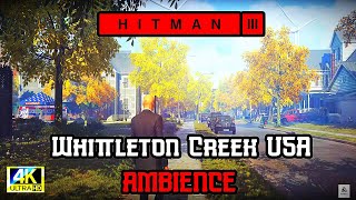 "Relaxing Hitman 3 Ambience: Whittleton Creek USA - Peaceful Gameplay Soundscapes"