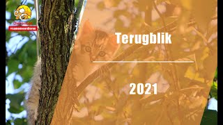 Terugblik 2021