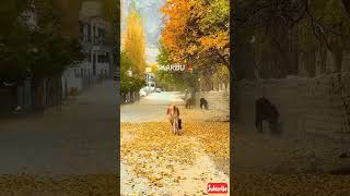 Autumn In Skardu || خزاں کے موسم سکردو