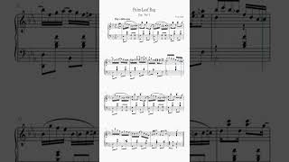 Scott Joplin - Palm Leaf Rag - 3 (1903) #shorts