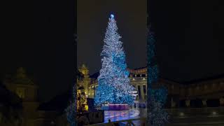 Most beautiful Christmas tree 🎄 - Vatican city 🎄❄️#shorts #short