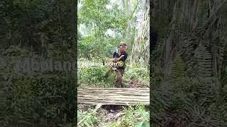 petani ruwet cari lanjaran timun di hutan #shorts