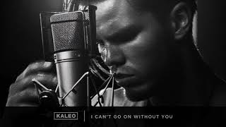 Kaleo I Can't Go On Without You Official Audio