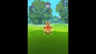 Pokemon Go Capturing high cp magmar